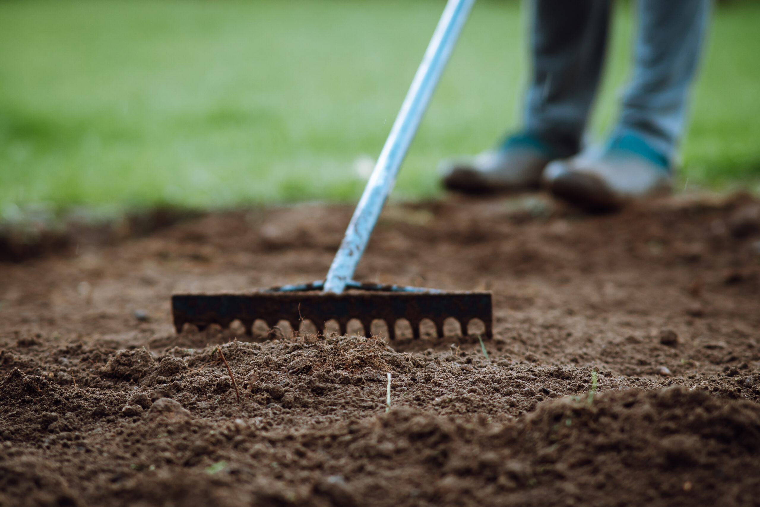 Top Dressing