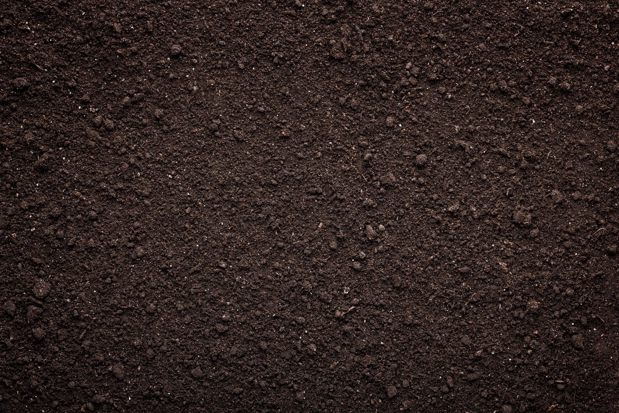 Soil